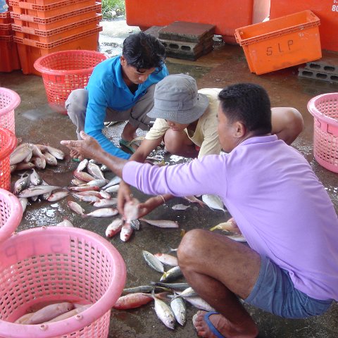 2005oct15_fishingvillage_030 2005oct15_fishingvillage_030