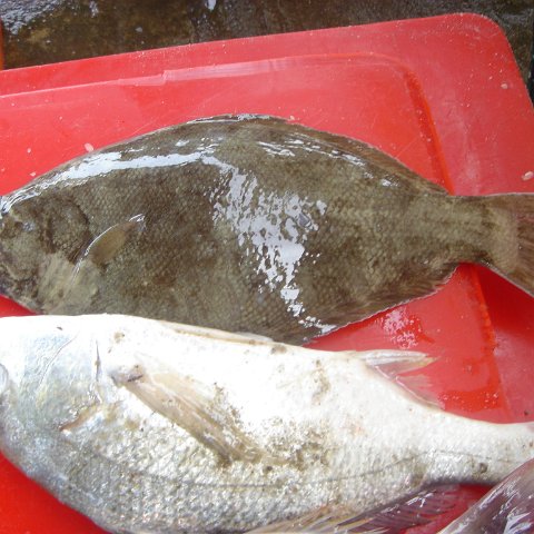 2005oct15_fishingvillage_032 2005oct15_fishingvillage_032