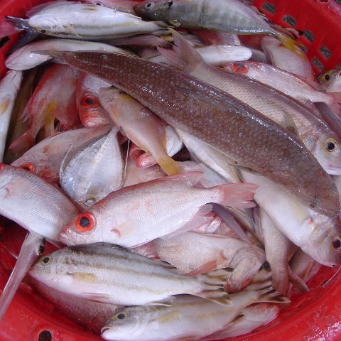 2005oct15_fishingvillage_034 2005oct15_fishingvillage_034