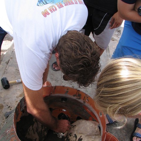 IMG0020 IMG0020