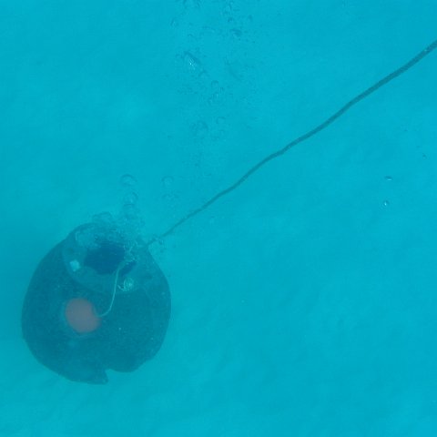 IMG0012
