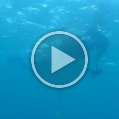 IMG0017
