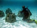 CoralPlantingProjectInterns