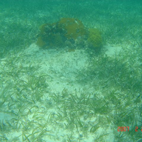 Beaches2007Feb24-33 Beaches2007Feb24-33