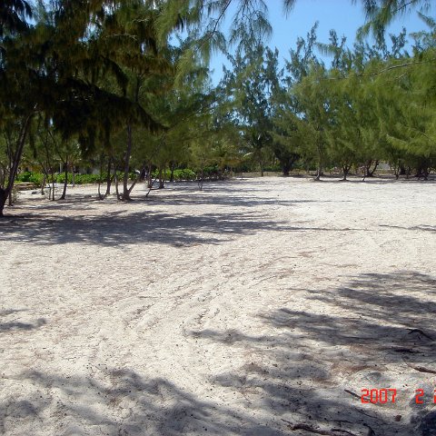 Beaches2007Feb24-14 Beaches2007Feb24-14