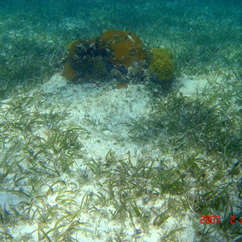 Beaches2007Feb24-33 Beaches2007Feb24-33