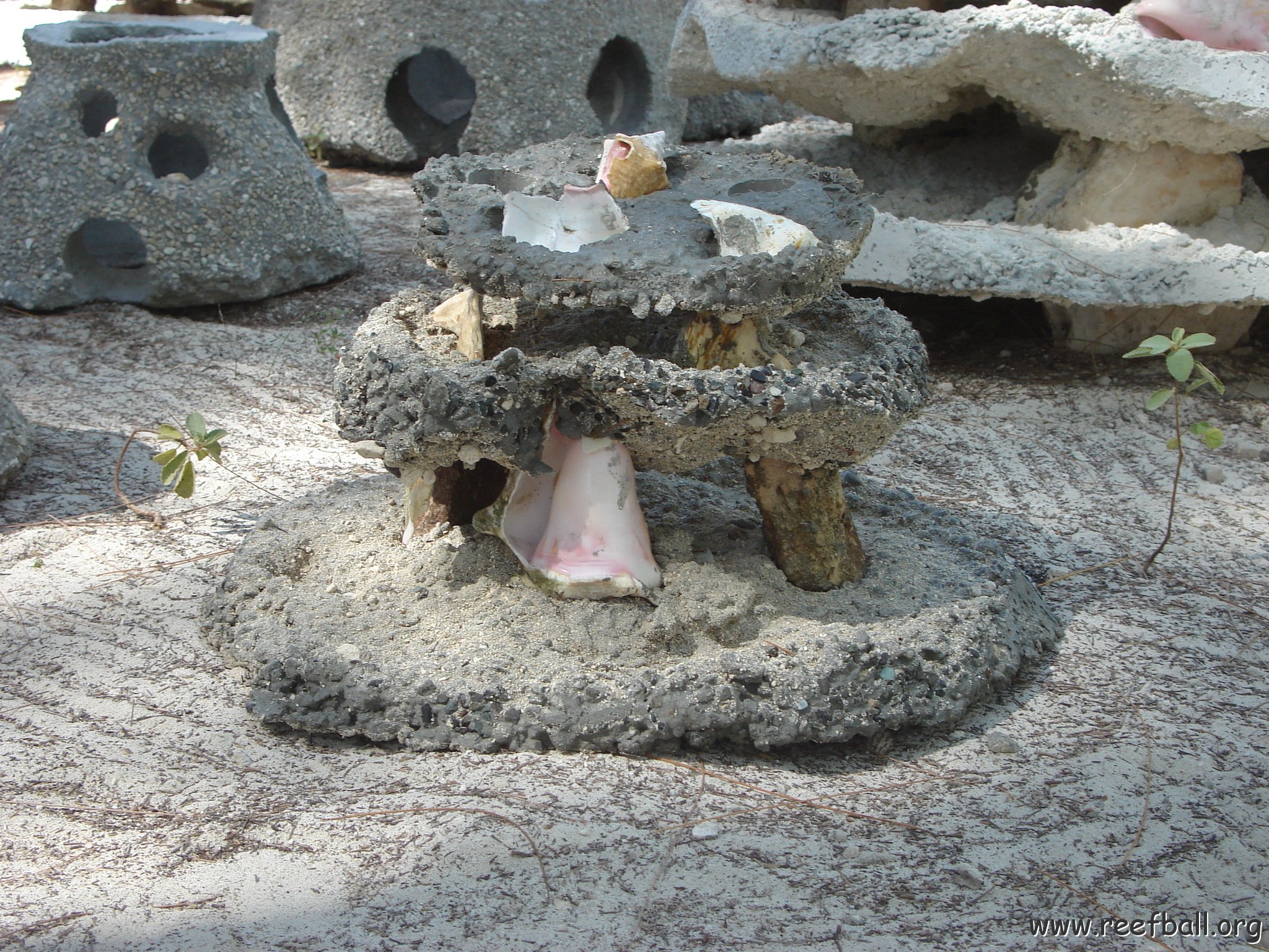 Construction pics (12) 