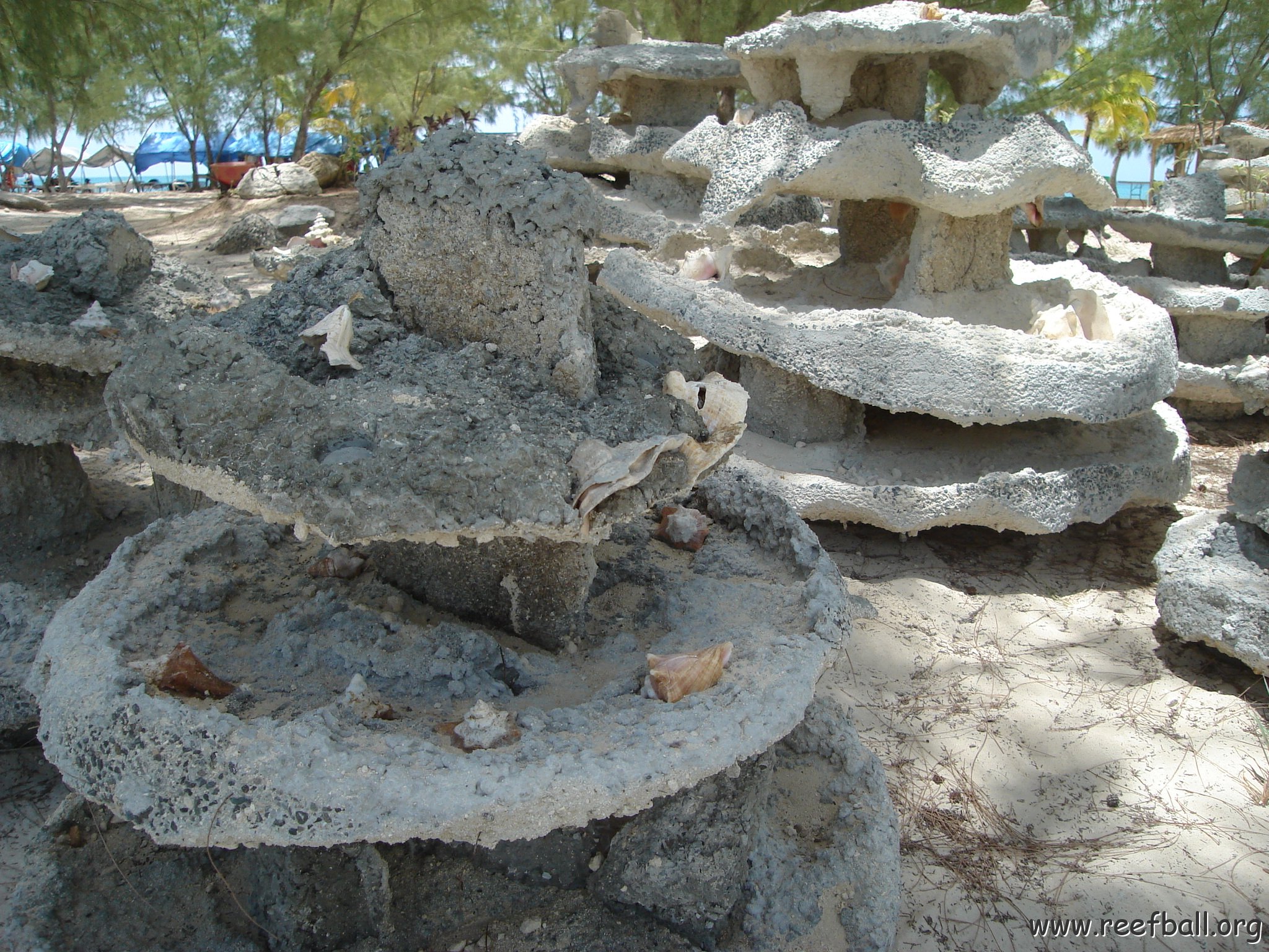 Construction pics (45) 