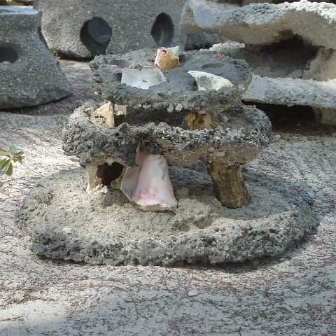 Construction pics (12)