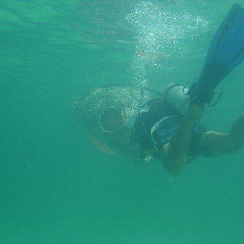 DSC05926 DSC05926