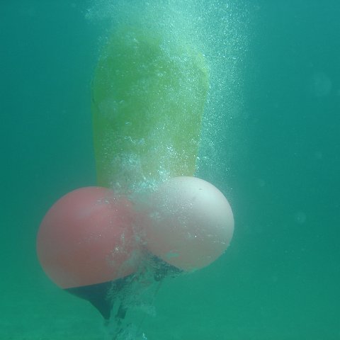 DSC05929 DSC05929