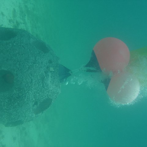 DSC05930 DSC05930