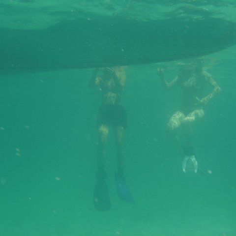 DSC05934 DSC05934