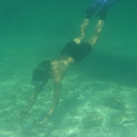 DSC05935 DSC05935