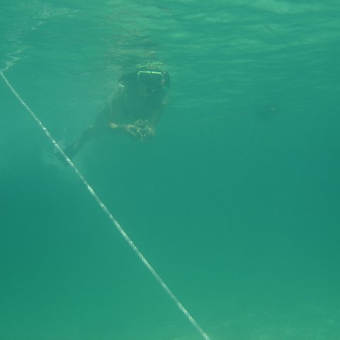 DSC05936 DSC05936