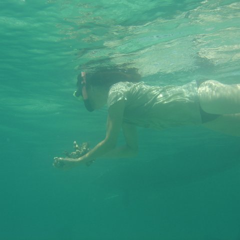 DSC05937 DSC05937