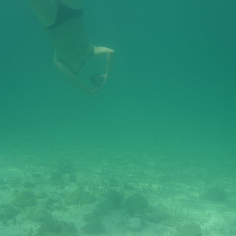 DSC05938 DSC05938