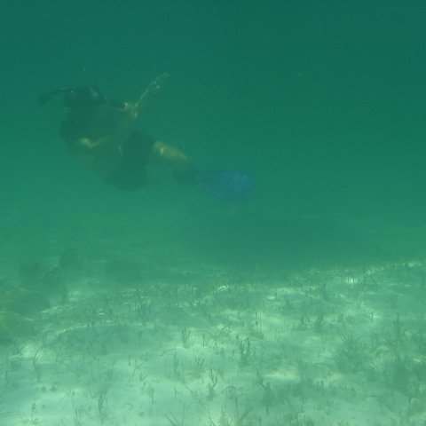 DSC05939 DSC05939