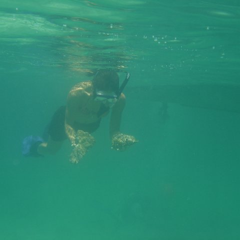 DSC05940 DSC05940