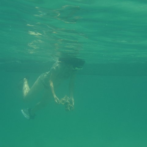 DSC05943 DSC05943