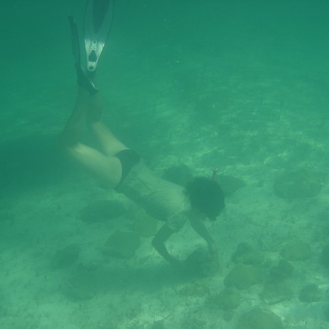 DSC05944 DSC05944
