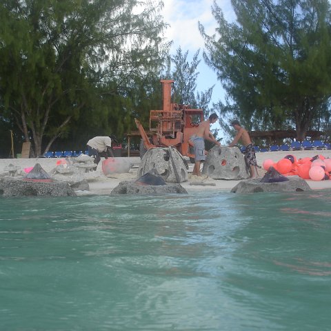 DSC05965 DSC05965