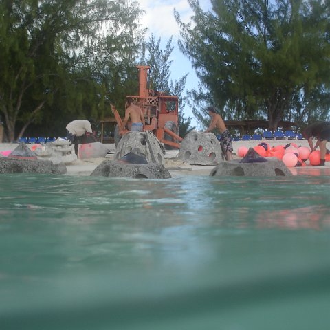 DSC05966 DSC05966
