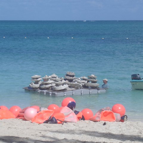 DSC05979 DSC05979