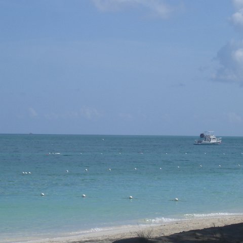 DSC05981 DSC05981