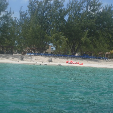 DSC05985 DSC05985