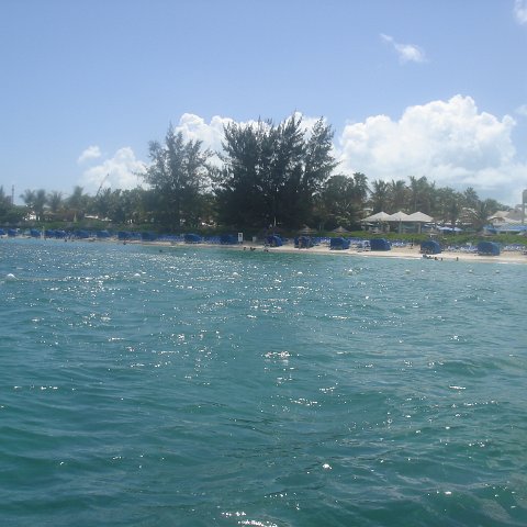 DSC05986 DSC05986