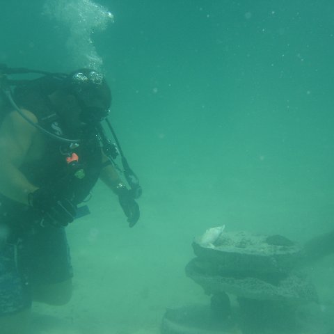 DSC05991 DSC05991