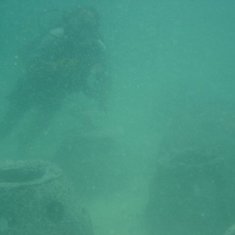 DSC05992 DSC05992