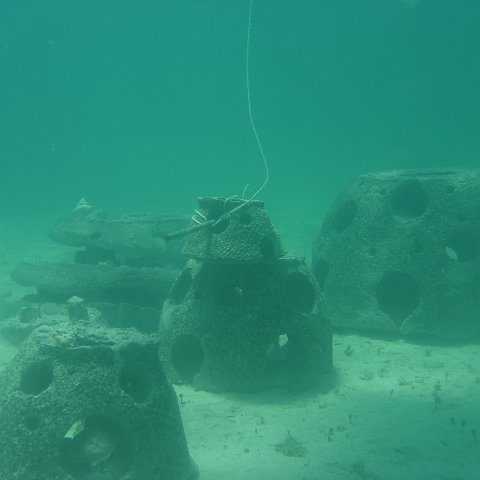 DSC05993 DSC05993