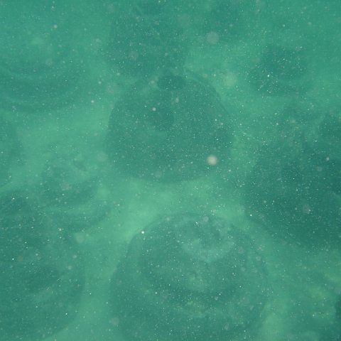 DSC05996 DSC05996