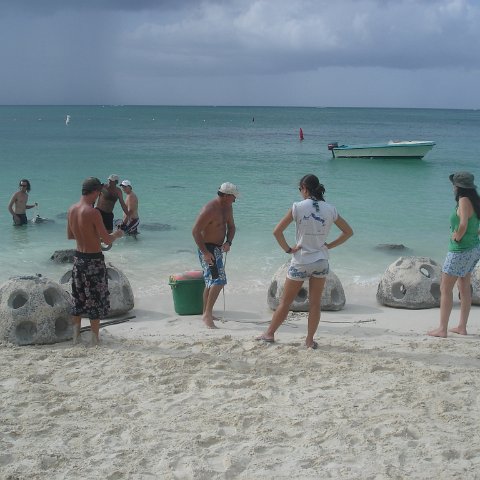 deployment (19) deployment (19)