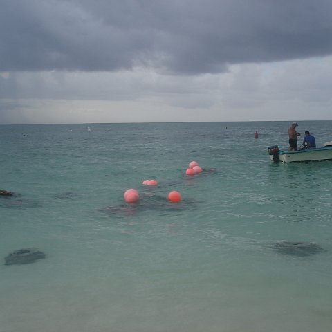 deployment (33) deployment (33)