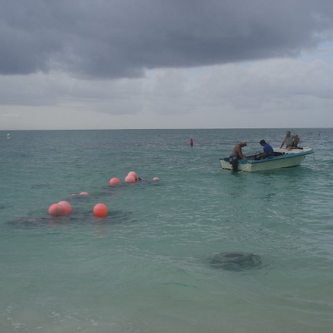 deployment (34) deployment (34)