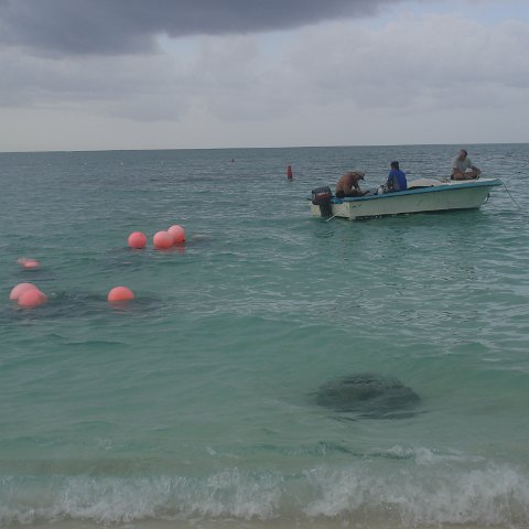 deployment (35) deployment (35)
