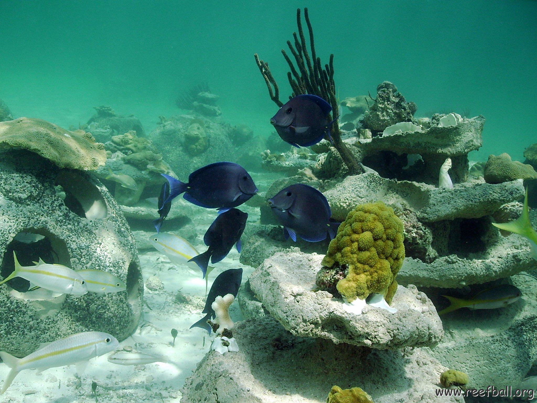 TCI Beaches 194