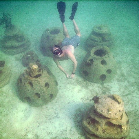 Providenciales Beaches Resort Reef Ball Snorkel Trail as built by Lee Harris