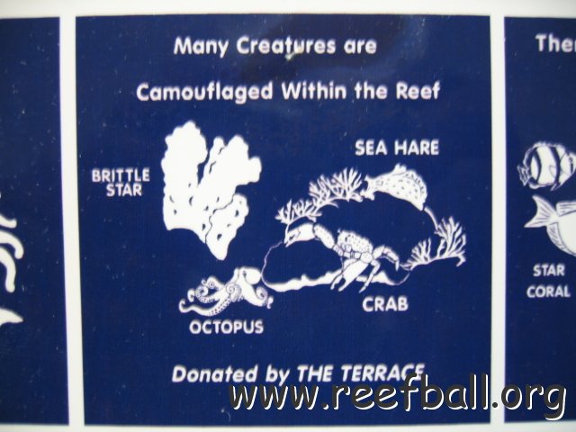 snorkeltrailsigns 017