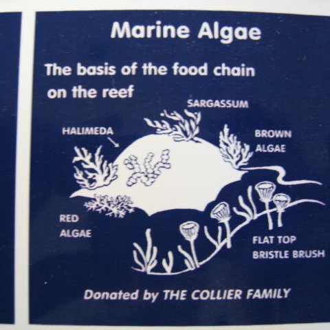 snorkeltrailsigns 003 snorkeltrailsigns 003