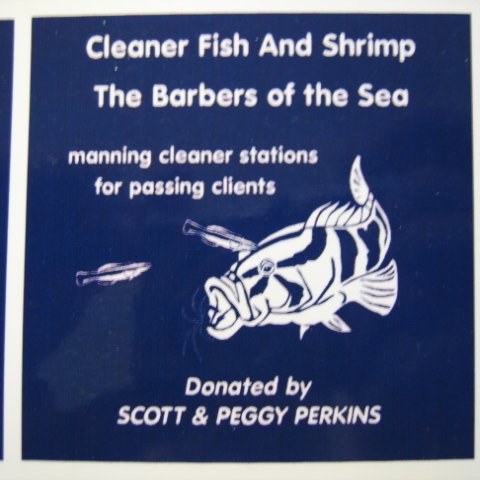 snorkeltrailsigns 005 snorkeltrailsigns 005