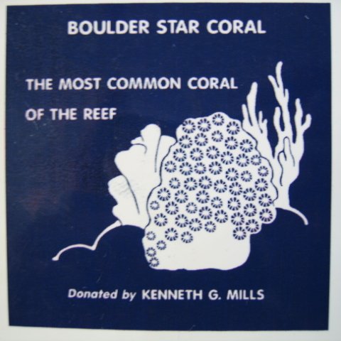 snorkeltrailsigns 007 snorkeltrailsigns 007
