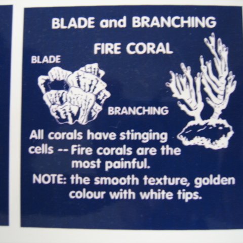 snorkeltrailsigns 008 snorkeltrailsigns 008