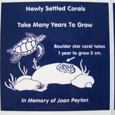 snorkeltrailsigns 009 snorkeltrailsigns 009