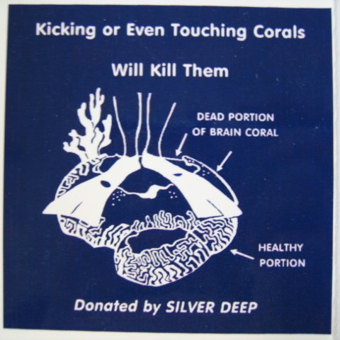 snorkeltrailsigns 015 snorkeltrailsigns 015
