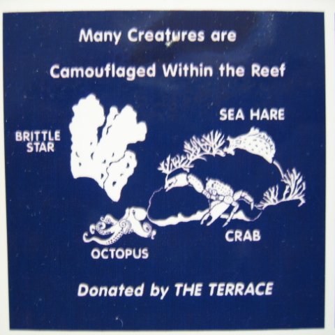 snorkeltrailsigns 017 snorkeltrailsigns 017