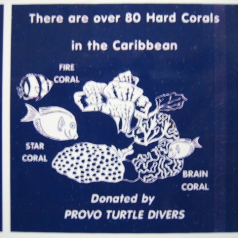snorkeltrailsigns 018 snorkeltrailsigns 018